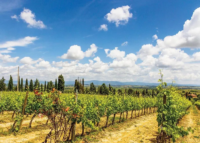 Σπίτι διακοπών Gallonero 2 Tavarnelle Val di Pesa
